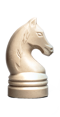 Paard TJIP zonder wit