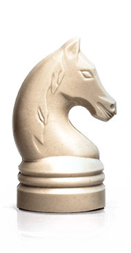 Paard TJIP