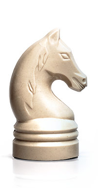 Paard TJIP