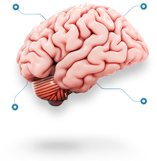 TJIP brain tought leaders TJIP brain tought leaders