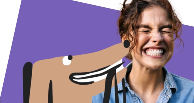 PetSecur Case - schaalbaar succes 3