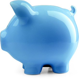 pig